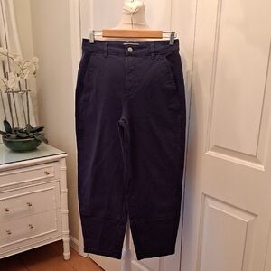 Everlane Womens Navy Organic‎ Stretch Cotton Barrel Ankle Pants S-8